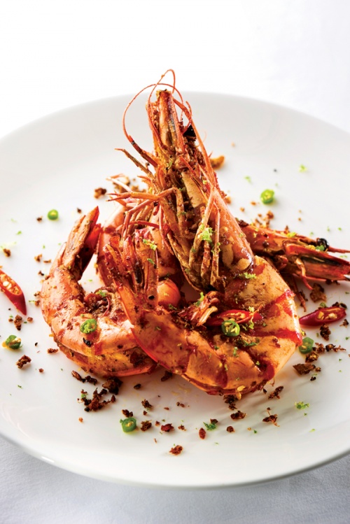 Freshwater prawns